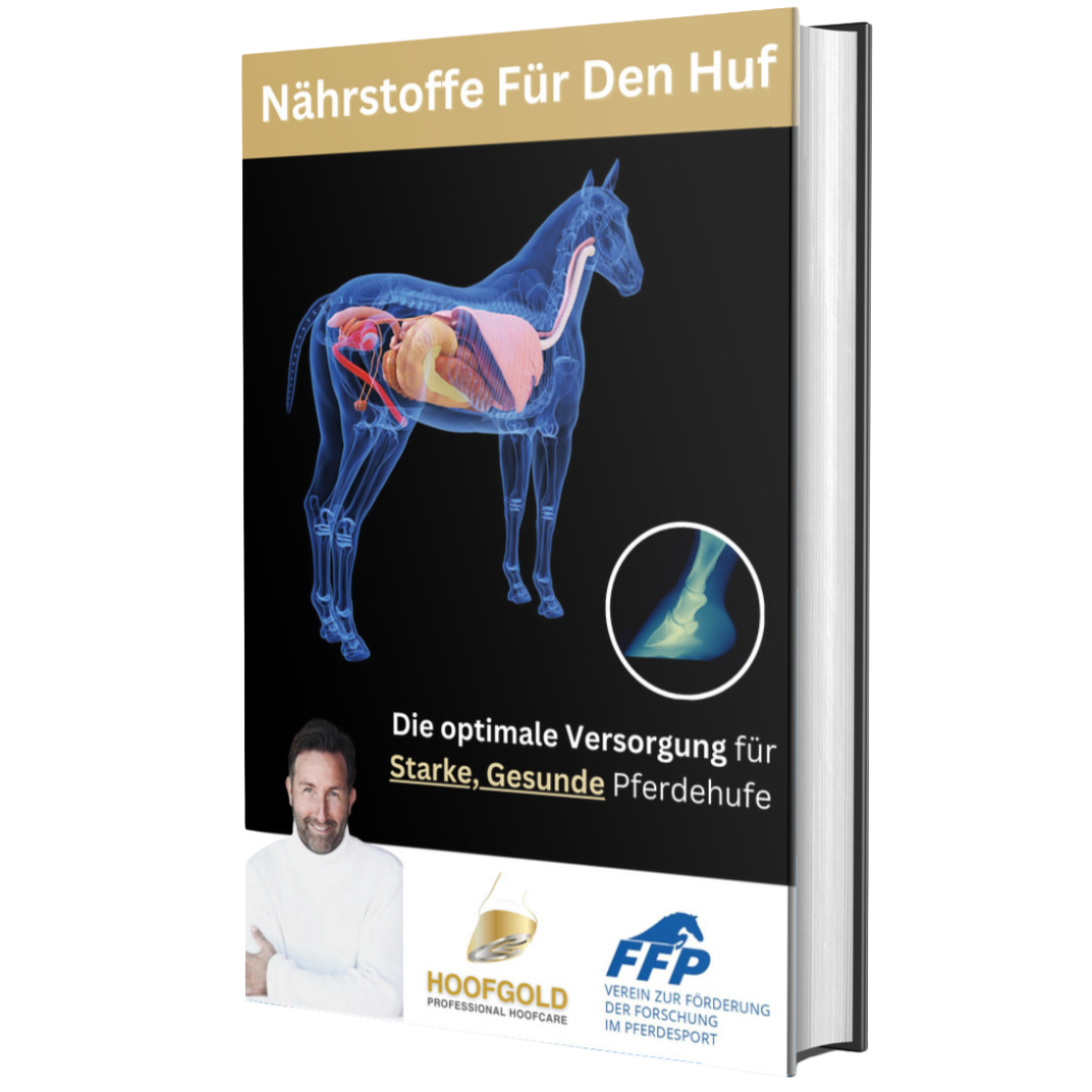 No Hoof No move - Hoofgold Infos über die Hufgesundheit - von Olaf Optenplatz
