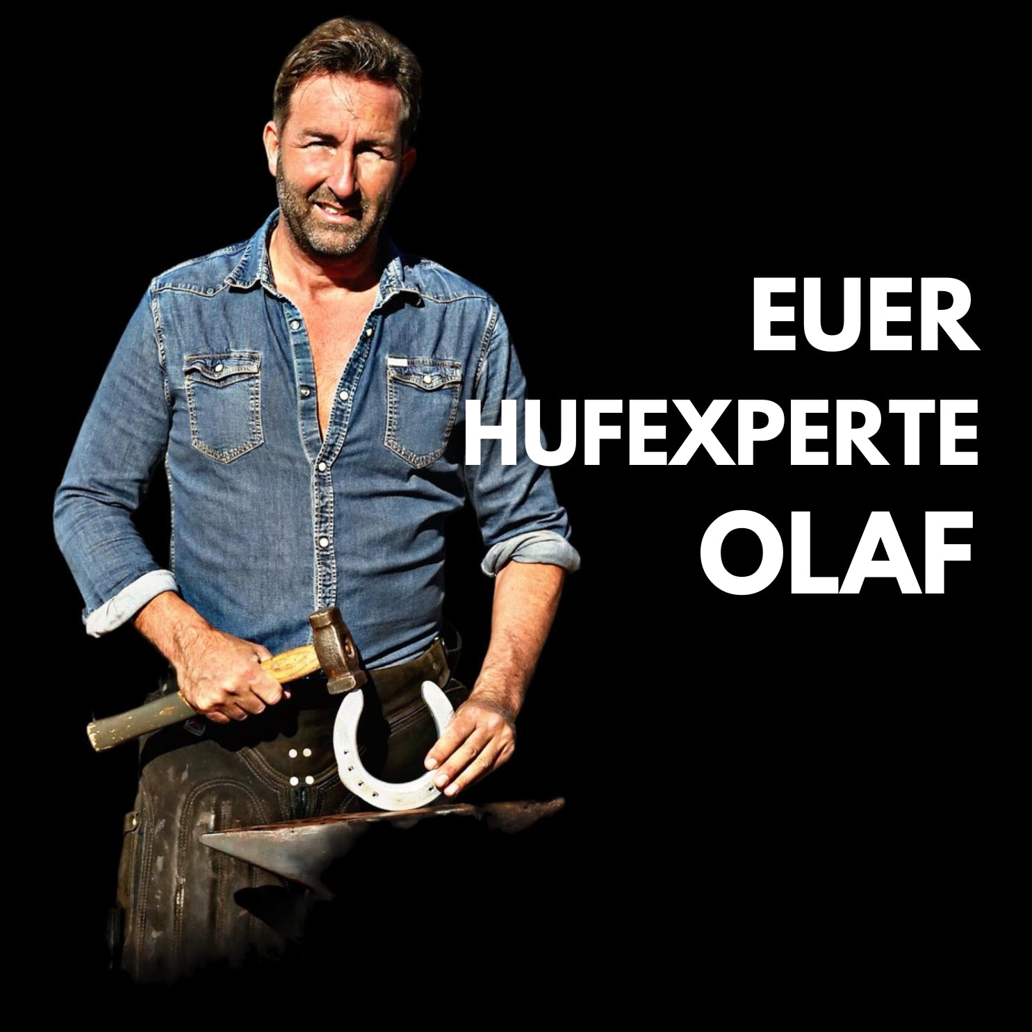 Hufberatung vom Experten - Olaf Optenplatz
