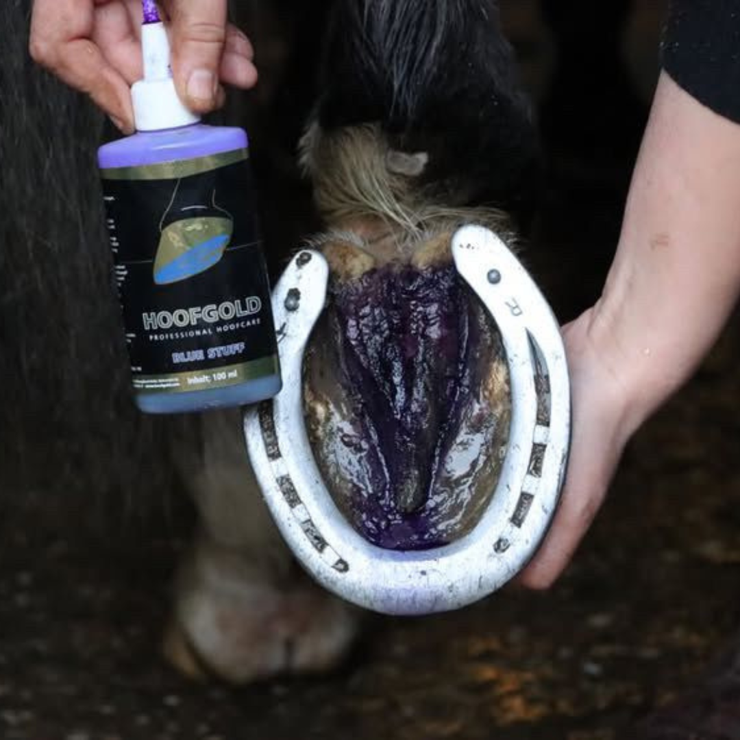 Bluestuff - bietet nachhaltigen Schutz vor Strahlfäule und Fäulnis; fördert die Regeneration des Hufhorns und unterstützt gesunde Hufe | Hoofgold