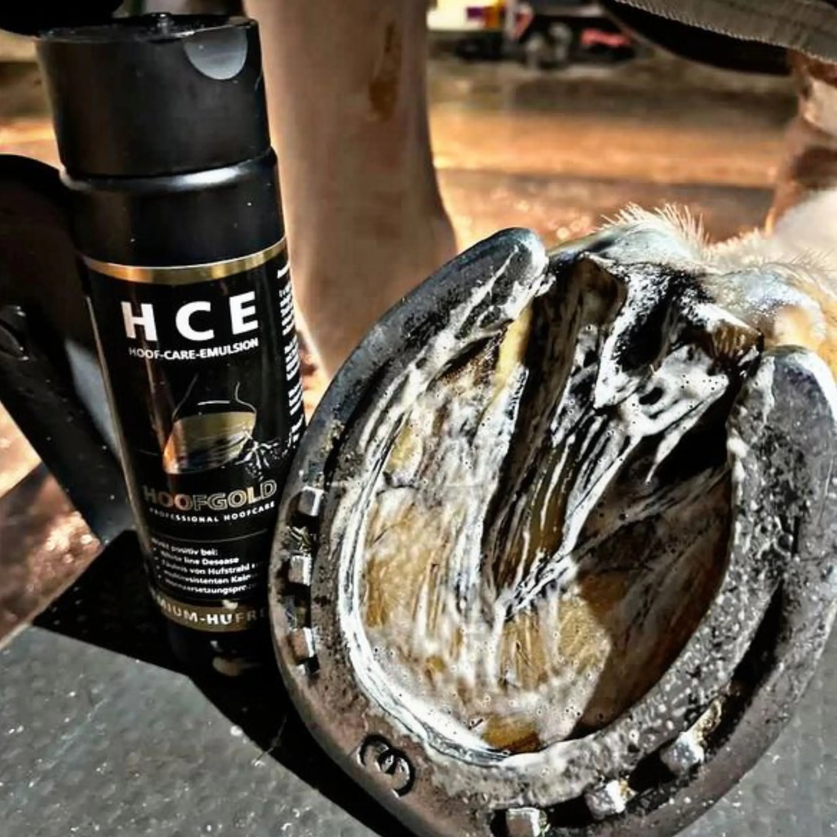 HCE Hufreiniger – beugt Strahlfäule und Fäulnis vor; sorgt für hygienische Hufpflege und unterstützt gesunde, widerstandsfähige Hufe | Hoofgold