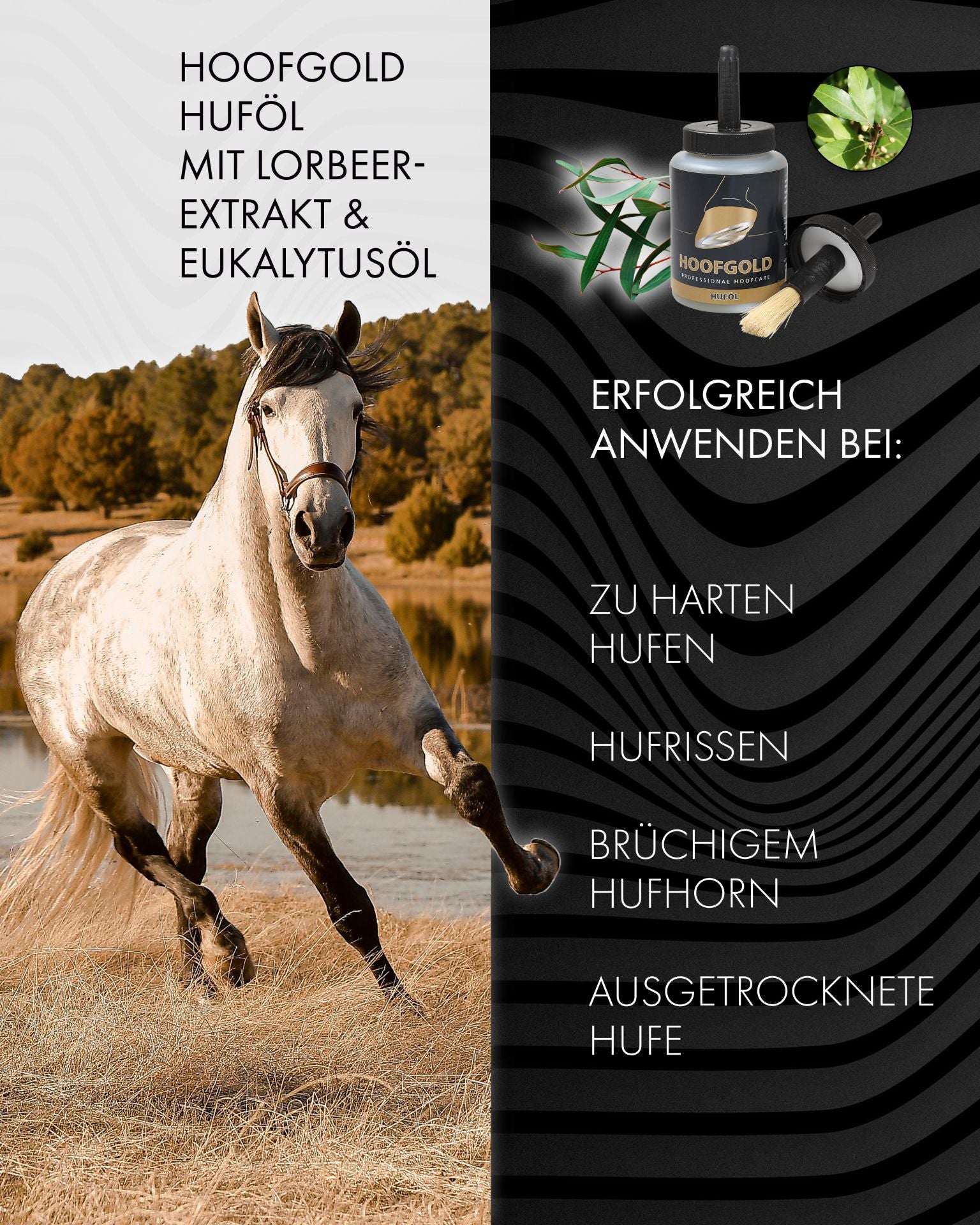 hufoel – spendet Feuchtigkeit, verleiht natürlichen Glanz und schützt vor Austrocknung; stärkt und nährt den Huf nachhaltig | Hoofgold