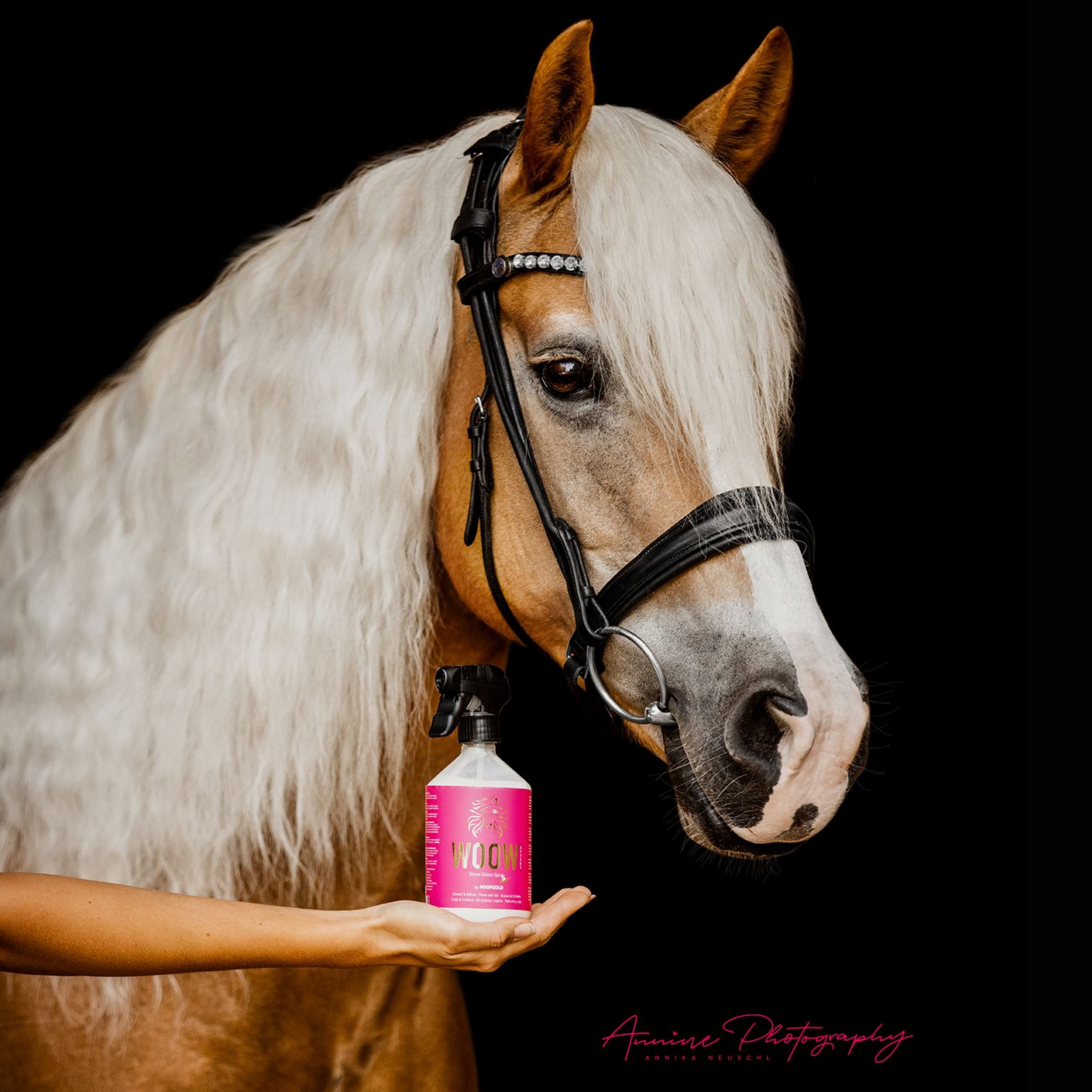 WOOW Show-Shine-Spray – sorgt für seidige Mähne & Schweif, verhindert Verknotungen und schützt das Haarkleid langanhaltend | Hoofgold