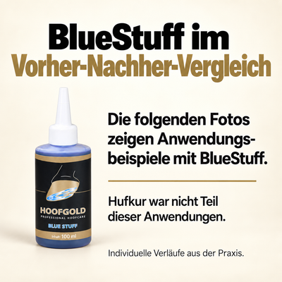 BlueStuff im Vorher-Nachher-Vergleich: Die folgenden Originalfotos zeigen BlueStuff-Anwendungsbeispiele; Hufkur war nicht Teil dieser Anwendungen.