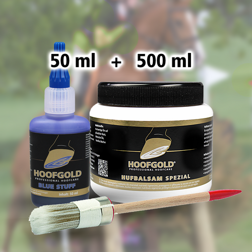 Hoofgold Strahlfäule Hilfekombi Set 1 mit Pinsel