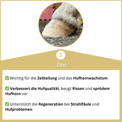 Hoofgold Hoof Treatment Basic 4 kg 