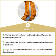 Hoofgold Hoof Treatment Basic 4 kg 