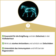 Hoofgold Hoof Treatment Basic 4 kg 