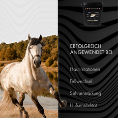 Hoofgold Hufkur-Basic 4 kg