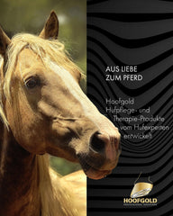 Hoofgold Hufkur-Basic 4 kg