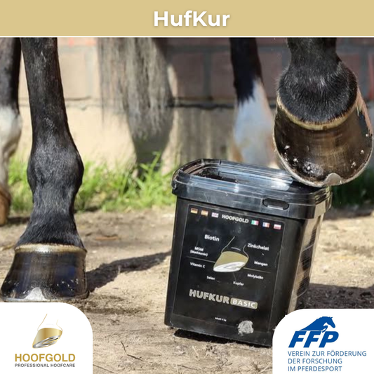 Hoofgold - Hufkur- 4 kg - Aus liebe zum pferd