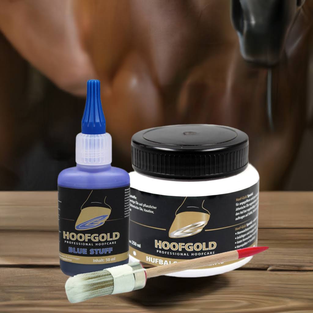 Hoofgold Strahlfäule Hilfekombi Set 1 mit Pinsel