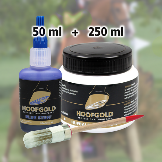 Hoofgold Thrush Help Combo Set 1 with Brush 