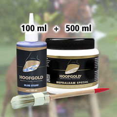 Hoofgold Thrush Aid Combo Set 2 with Brush
