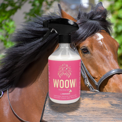 WOOW Show Shine Spray, tail and mane spray for shine and volume 