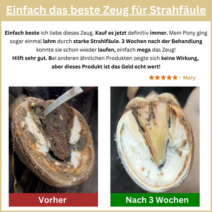 Bluestuff - bietet nachhaltigen Schutz vor Strahlfäule und Fäulnis; fördert die Regeneration des Hufhorns und unterstützt gesunde Hufe | Hoofgold