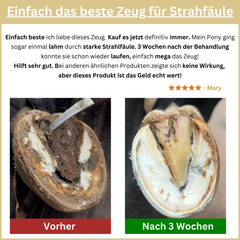 Bluestuff - bietet nachhaltigen Schutz vor Strahlfäule und Fäulnis; fördert die Regeneration des Hufhorns und unterstützt gesunde Hufe | Hoofgold