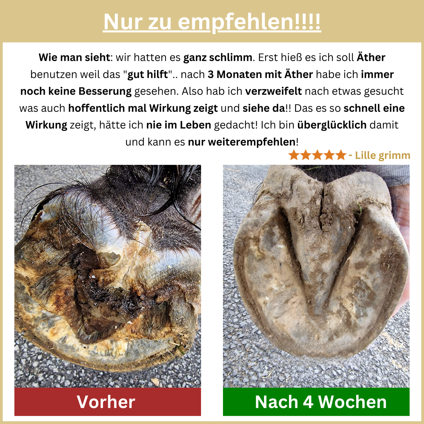 Bluestuff - bietet nachhaltigen Schutz vor Strahlfäule und Fäulnis; fördert die Regeneration des Hufhorns und unterstützt gesunde Hufe | Hoofgold