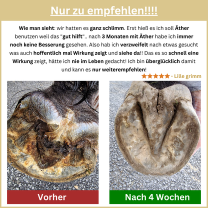 Bluestuff - bietet nachhaltigen Schutz vor Strahlfäule und Fäulnis; fördert die Regeneration des Hufhorns und unterstützt gesunde Hufe | Hoofgold