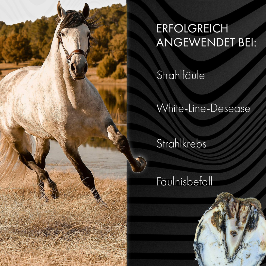 Bluestuff - bietet nachhaltigen Schutz vor Strahlfäule und Fäulnis; fördert die Regeneration des Hufhorns und unterstützt gesunde Hufe | Hoofgold