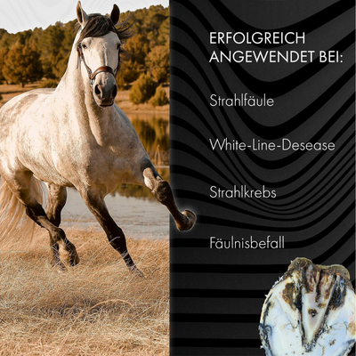 Bluestuff - bietet nachhaltigen Schutz vor Strahlfäule und Fäulnis; fördert die Regeneration des Hufhorns und unterstützt gesunde Hufe | Hoofgold