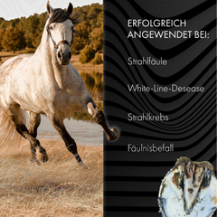 Bluestuff - bietet nachhaltigen Schutz vor Strahlfäule und Fäulnis; fördert die Regeneration des Hufhorns und unterstützt gesunde Hufe | Hoofgold