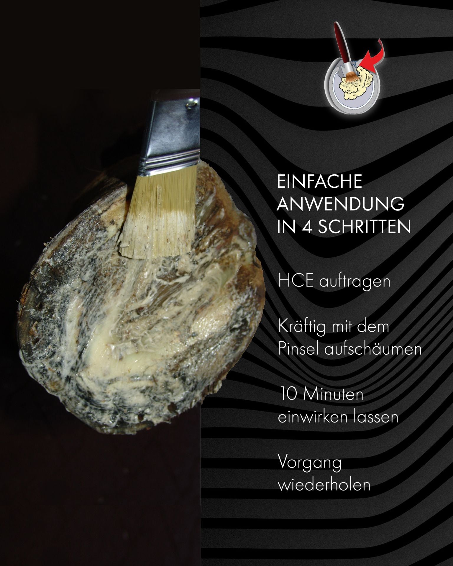HCE Hufreiniger – beugt Strahlfäule und Fäulnis vor; sorgt für hygienische Hufpflege und unterstützt gesunde, widerstandsfähige Hufe | Hoofgold