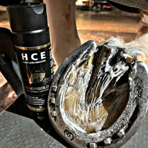 HCE Hufreiniger – beugt Strahlfäule und Fäulnis vor; sorgt für hygienische Hufpflege und unterstützt gesunde, widerstandsfähige Hufe | Hoofgold