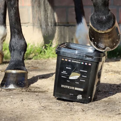 Hoofgold Hufkur-Basic 4 kg