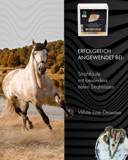 Hornpad – fördert die Regeneration des Hufhorns bei Strahlrissen und Strahlfäule; stärkt und unterstützt die Heilung geschädigter Hufe | Hoofgold