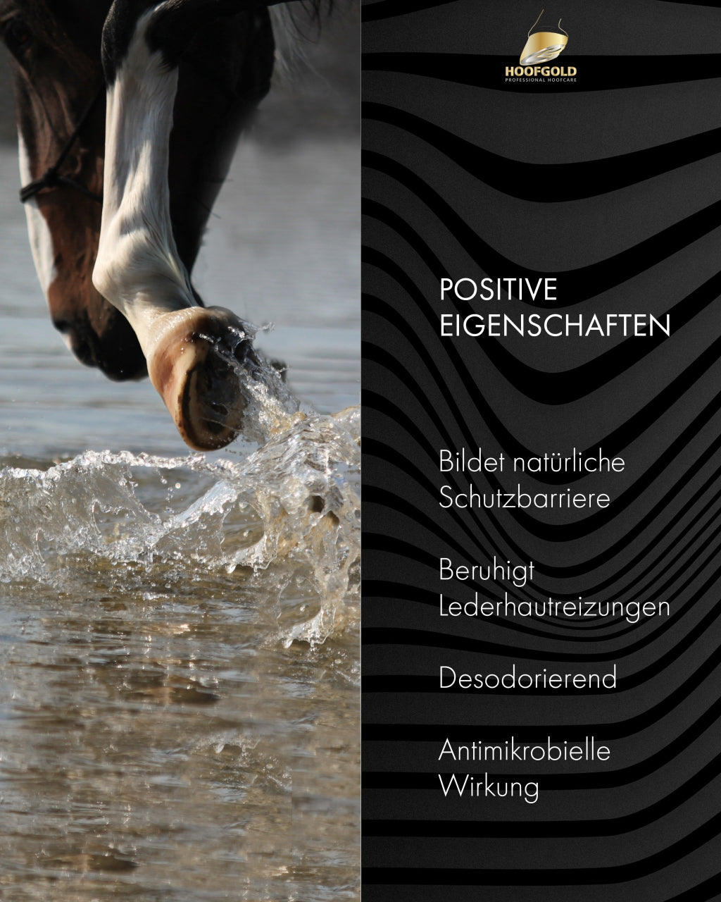 Hornpad – fördert die Regeneration des Hufhorns bei Strahlrissen und Strahlfäule; stärkt und unterstützt die Heilung geschädigter Hufe | Hoofgold