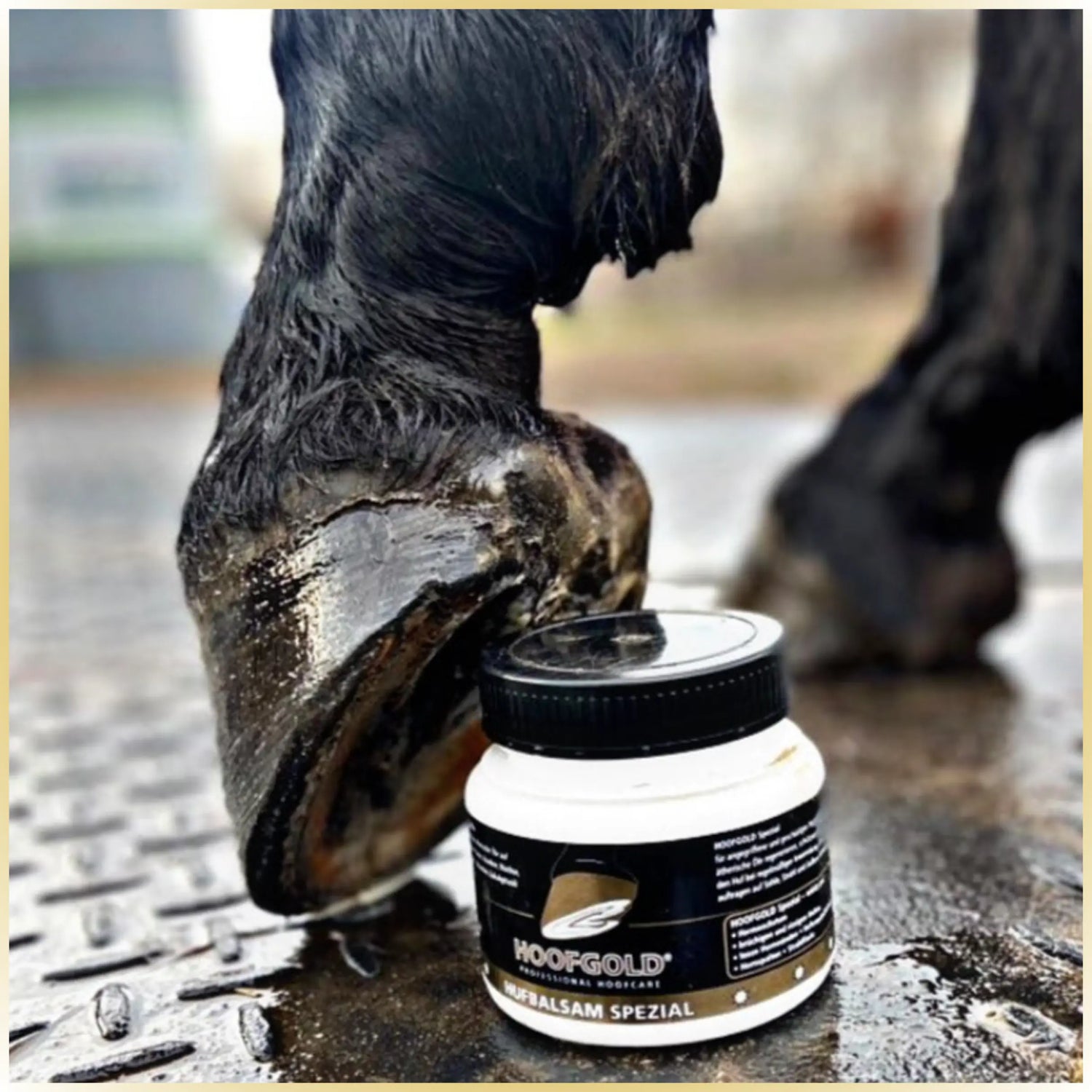 Hufbalsam Spezial - fördert das Hornwachstum und verleiht dem Huf Elastizität & Glanz; intensive Pflege für gesunde, widerstandsfähige Hufe | Hoofgold