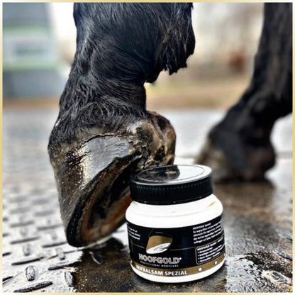 Hufbalsam Spezial - fördert das Hornwachstum und verleiht dem Huf Elastizität & Glanz; intensive Pflege für gesunde, widerstandsfähige Hufe | Hoofgold