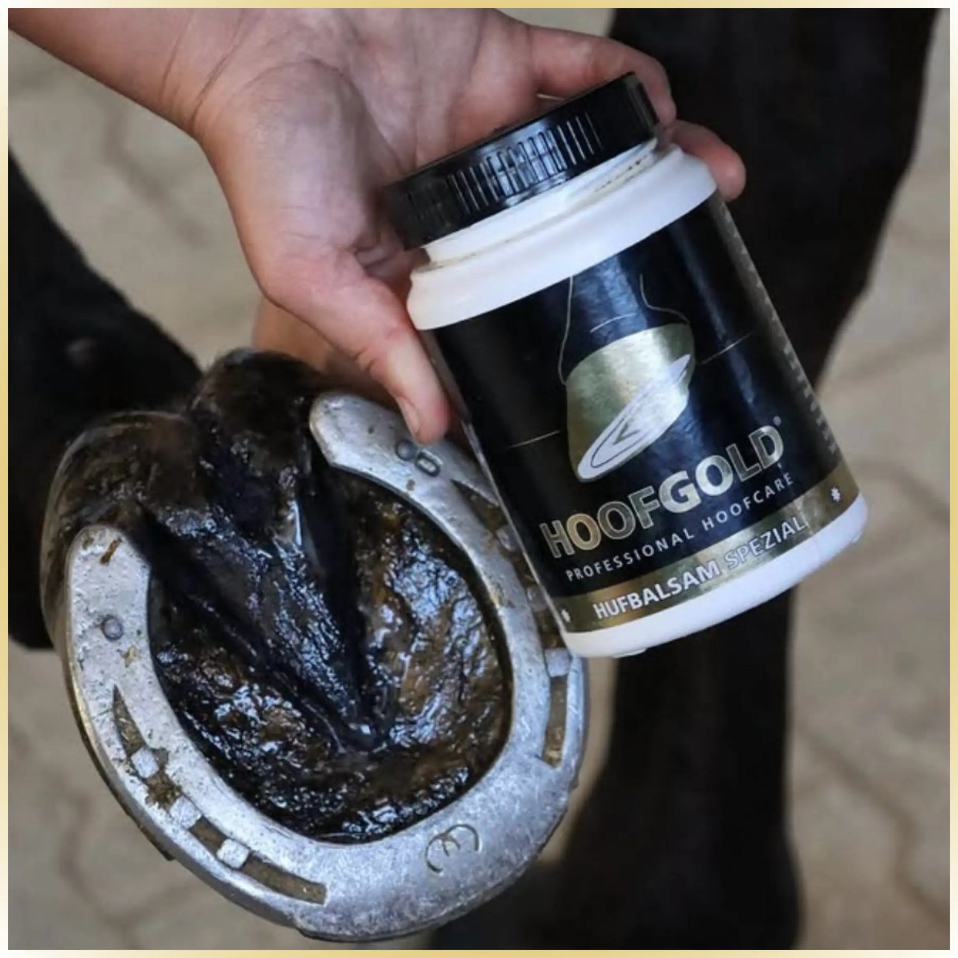 Hufbalsam Spezial - fördert das Hornwachstum und verleiht dem Huf Elastizität & Glanz; intensive Pflege für gesunde, widerstandsfähige Hufe | Hoofgold