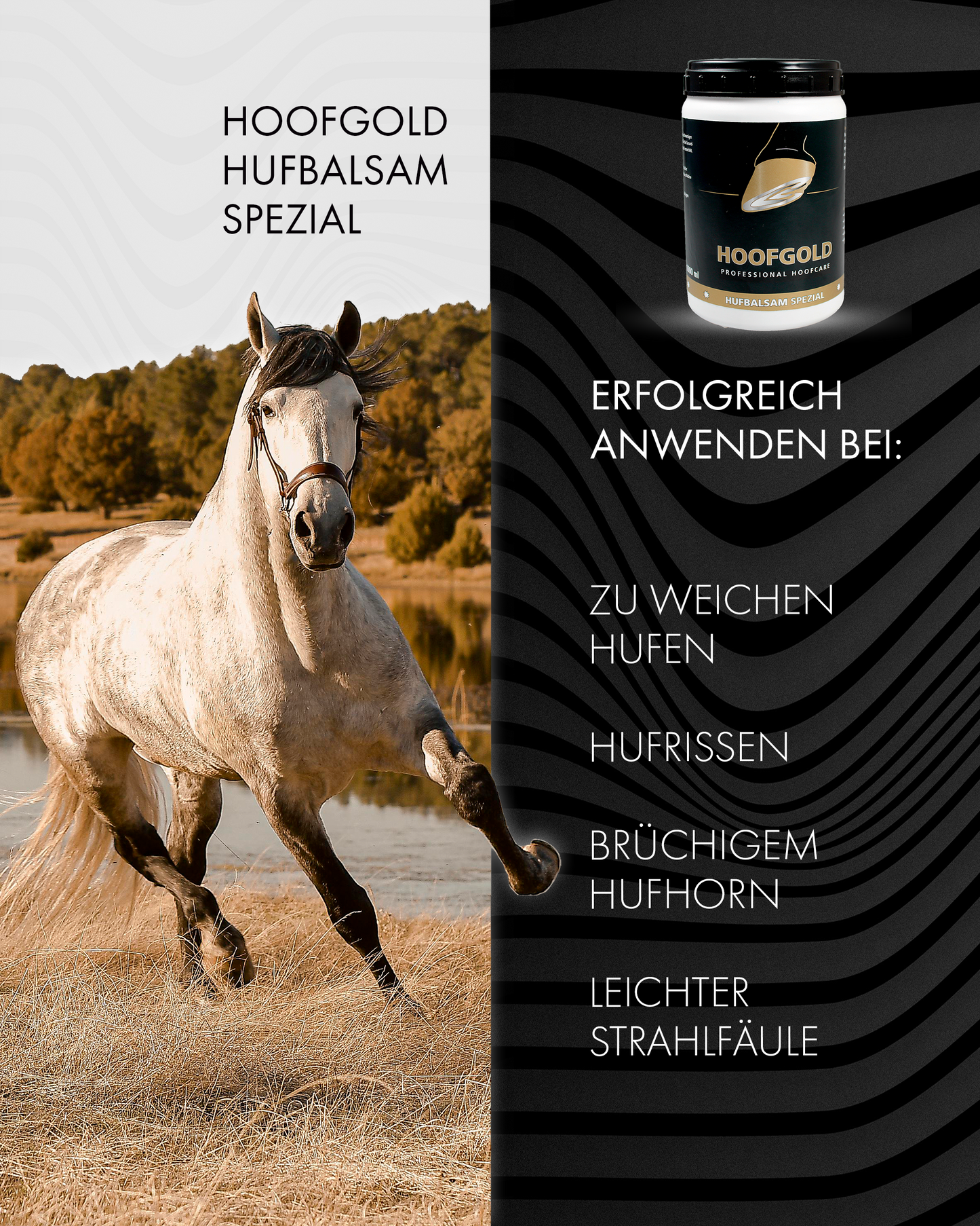 Hufbalsam Spezial - fördert das Hornwachstum und verleiht dem Huf Elastizität & Glanz; intensive Pflege für gesunde, widerstandsfähige Hufe | Hoofgold