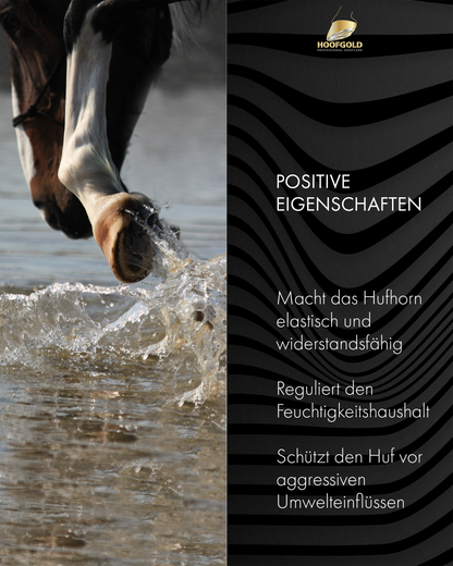Hufbalsam Spezial - fördert das Hornwachstum und verleiht dem Huf Elastizität & Glanz; intensive Pflege für gesunde, widerstandsfähige Hufe | Hoofgold