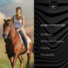 Hufkur- unterstützt das Hufwachstum und fördert die Regeneration bei brüchigen Hufen, Strahlfäule & Hufrehe; Nährstoffkomplex für starke Hufe | Hoofgold