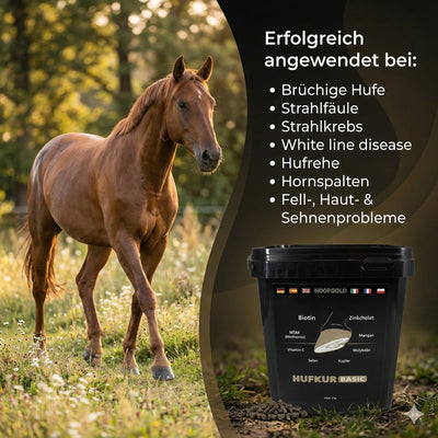 Hoofgold - Hufkur- 4 kg - Aus liebe zum pferd