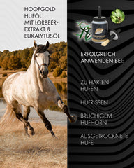 hufoel – spendet Feuchtigkeit, verleiht natürlichen Glanz und schützt vor Austrocknung; stärkt und nährt den Huf nachhaltig | Hoofgold