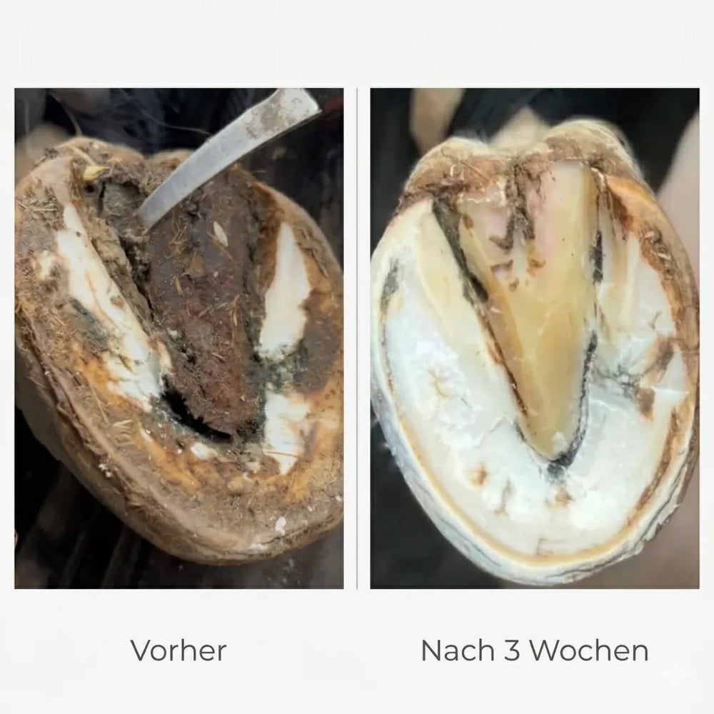 Vorher Nachher