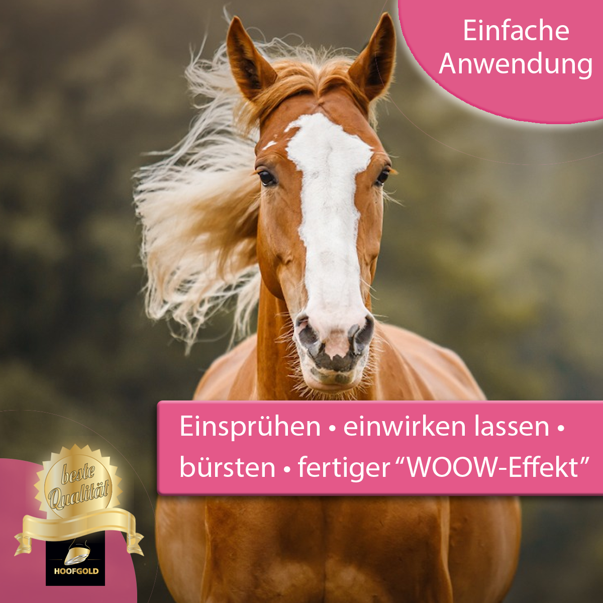 WOOW Show-Shine-Spray – sorgt für seidige Mähne & Schweif, verhindert Verknotungen und schützt das Haarkleid langanhaltend | Hoofgold